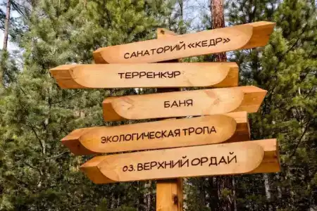 Кедр - 6