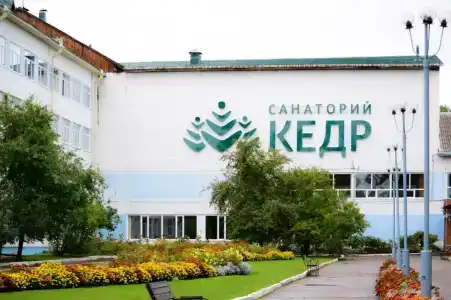 Кедр - 9
