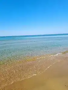 Клевер - 2