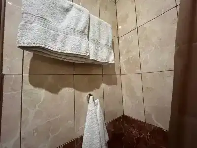 Пионер 32 - 106