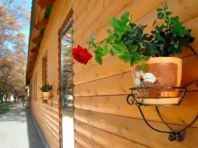 Дубровка - 27