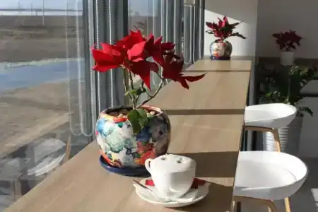 Фанагория Порт - 7