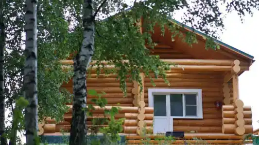 Екатеринки - 10