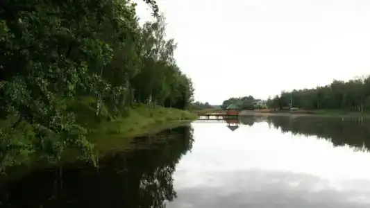 Екатеринки - 23