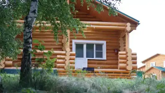 Екатеринки - 24