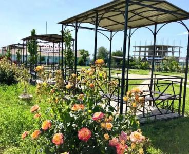 Атлантус - 4