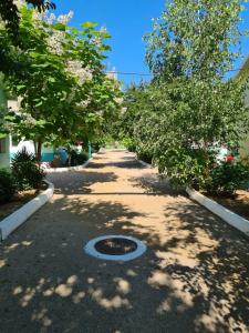 Атлантус - 10