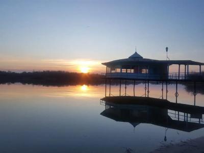 Тихие зори - 50