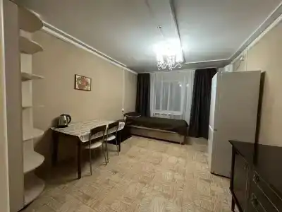 Арена - 31