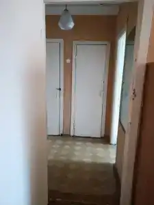 Арена - 55