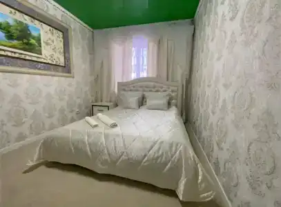 Багира - 41