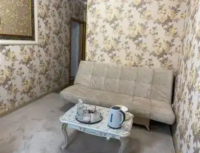 Багира - 48