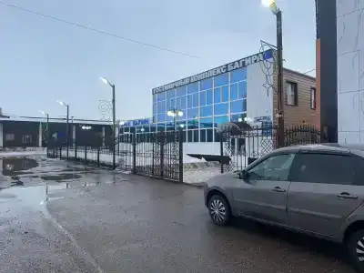 Багира - 65
