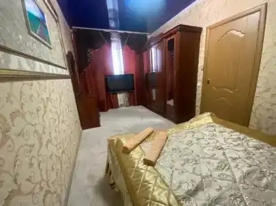 Багира - 1