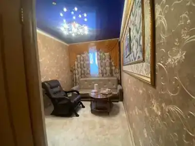 Багира - 3