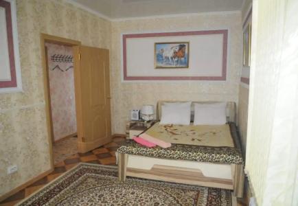 Багира - 19