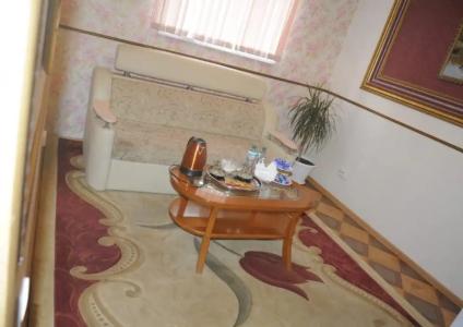 Багира - 21