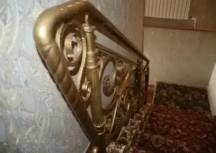 Багира Голден - 3