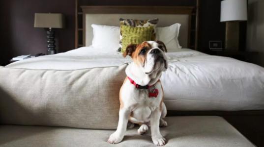 Видный - 23
