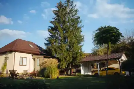 Flera Hus - 19