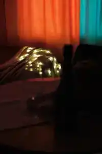 Чей ЧеМоДан на Гороховой - 30