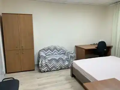 Лилия - 10