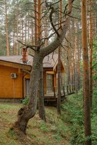 Березкина Заимка - 118