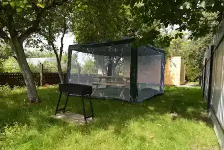 Яблоневый сад - 17