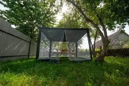 Яблоневый сад - 18