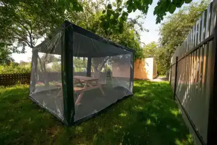 Яблоневый сад - 19