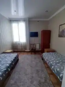 Кипарис - 8