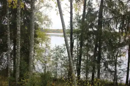 Дом рыбака Отолово - 31
