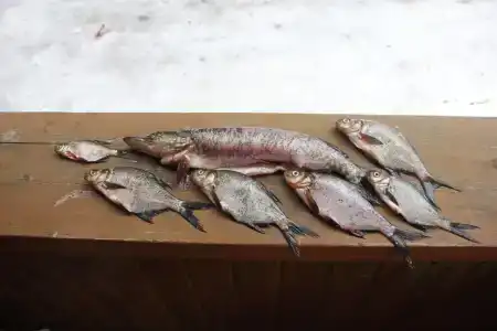 Дом рыбака Отолово - 41