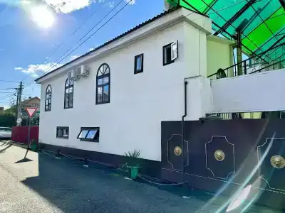 Пальма - 0