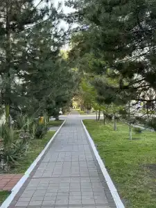 Три богатыря - 2