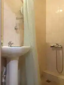 Сакура - 3