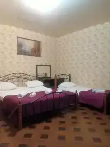 Сакура - 12