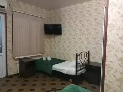 Сакура - 14