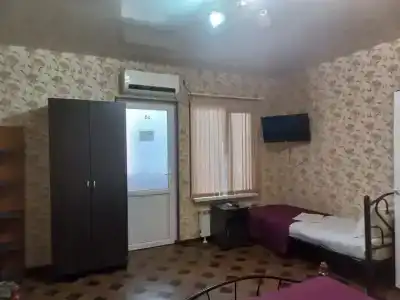 Сакура - 19