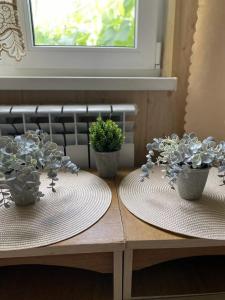 Loo Home&Sea - 19