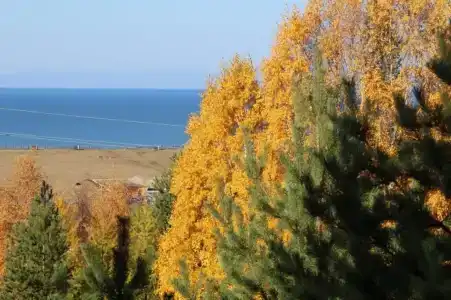 Байкальский очаг - 7