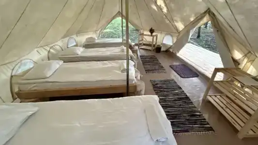 Медовые холмы - 53