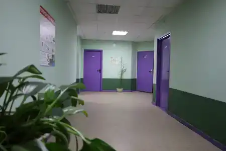 Lion Apartments - 11