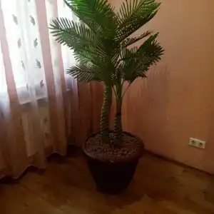 Алтайское гостеприимство - 43