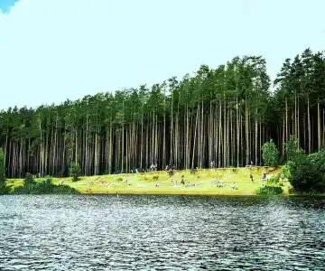 Зеленый квартал - 262