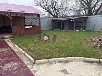 Белый Налив - 24