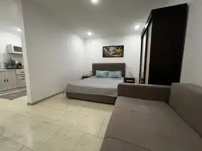 Де Альбина - 8