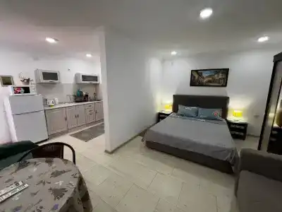 Де Альбина - 9