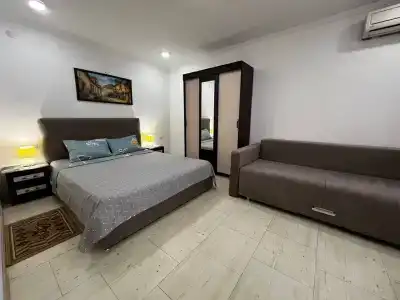 Де Альбина - 12