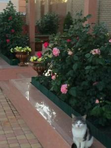 Героевский Олимп - 1